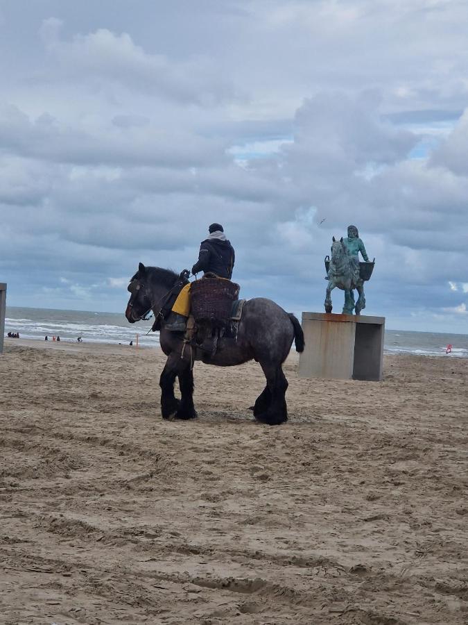 Oostduinkerke View - B&B