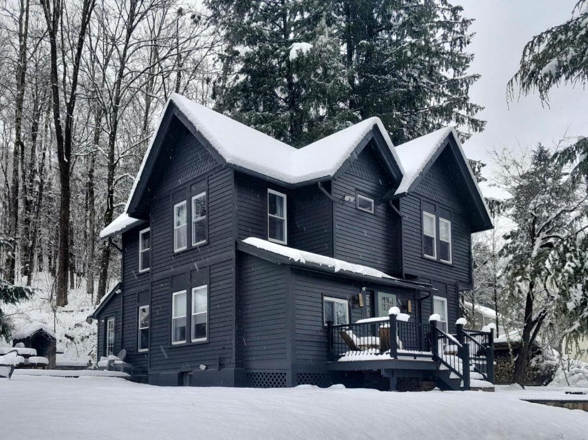 Pinetree Guesthouse - B&B Fleischmanns