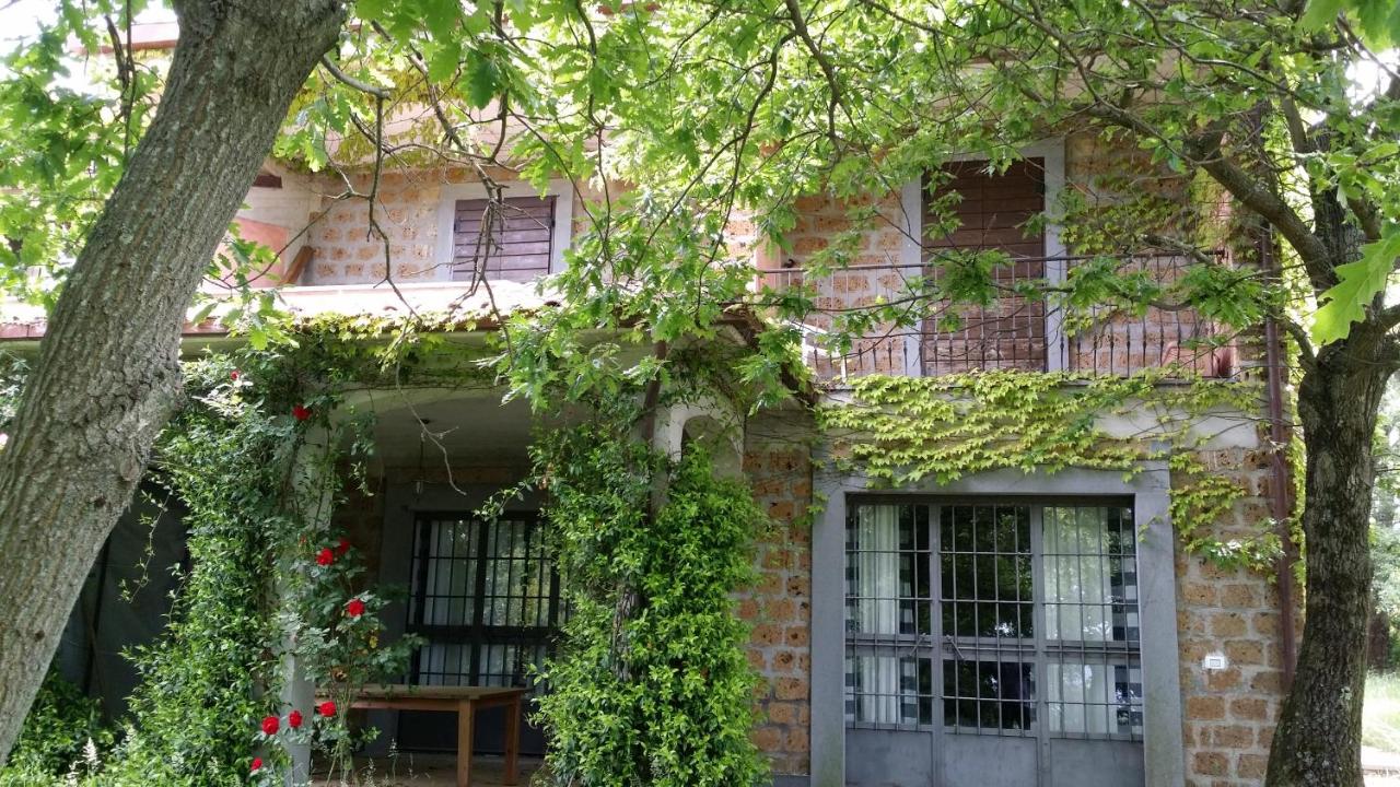 Collina delle Rose - B&B Bagnoregio
