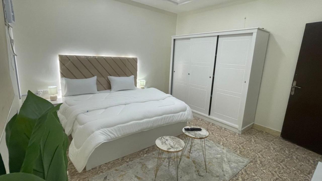 فدفد النهضة - B&B