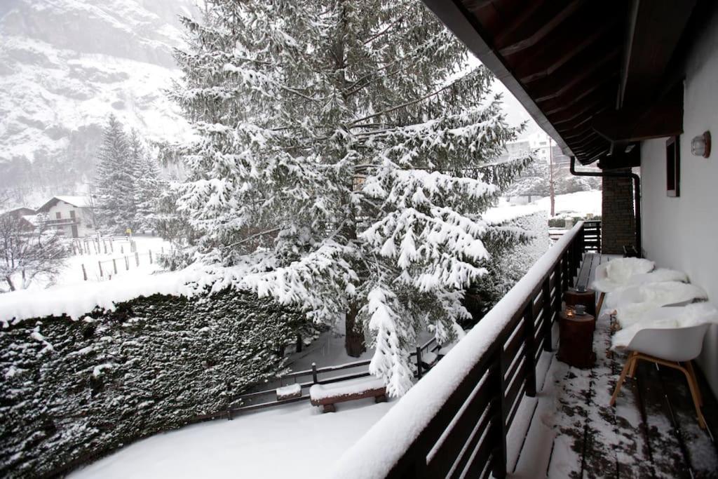 Lovely Home with Breathtaking View of Mont Blanc - Chambres d’hôtes