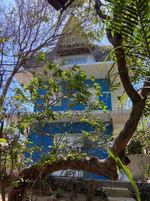 OccA Pipa Studio Arara-azul - B&B Pipa