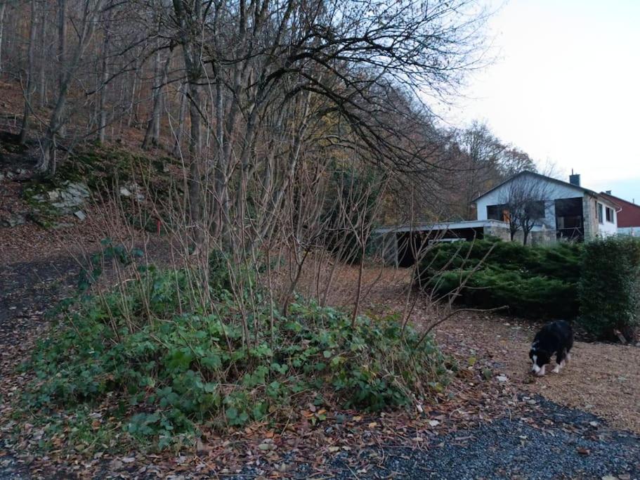 Ferienhaus mit 3 Schlafzimmern
