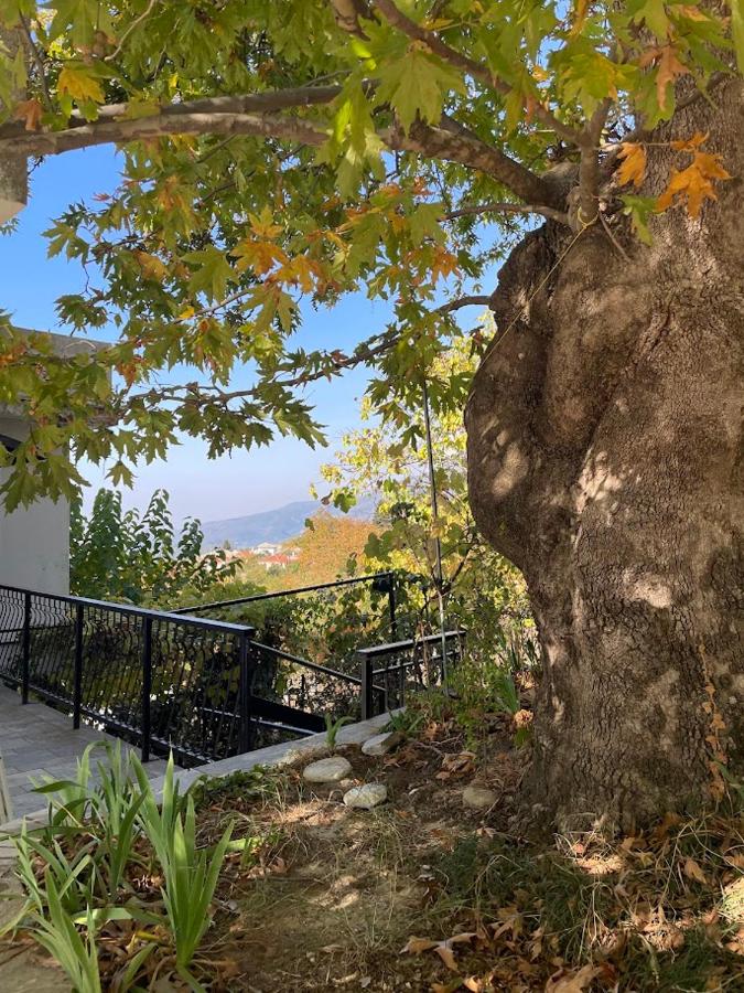 Holiday Home Neochori Pelion - B&B Neochori