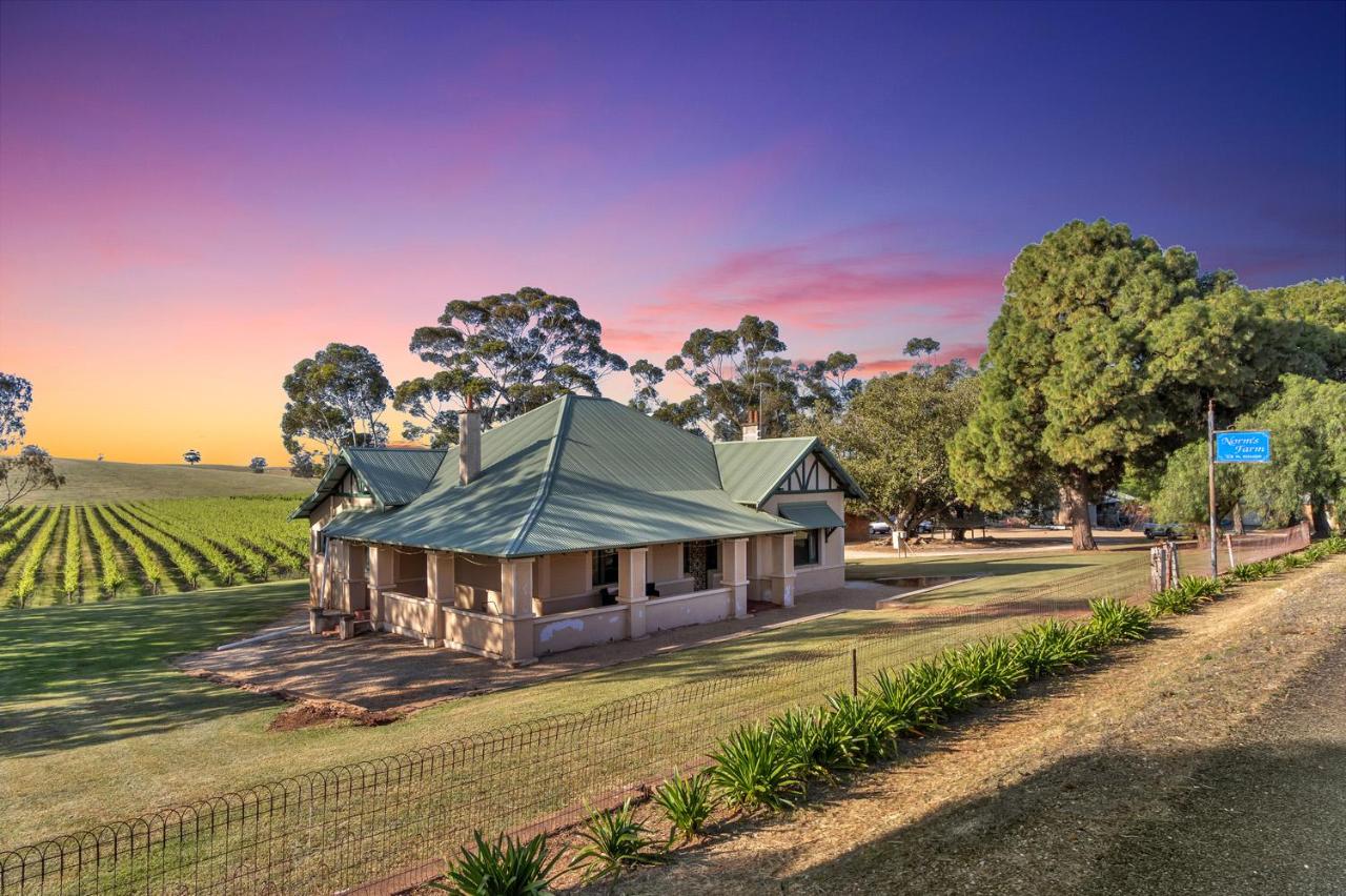 Norm's Vineyard Retreat - Bed and Breakfast Lyndoch