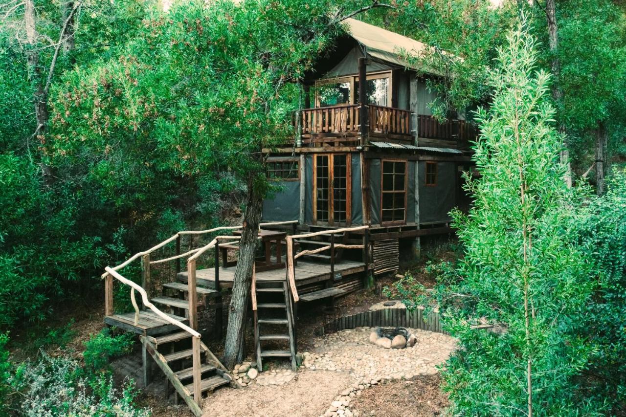 Family Safari Tent