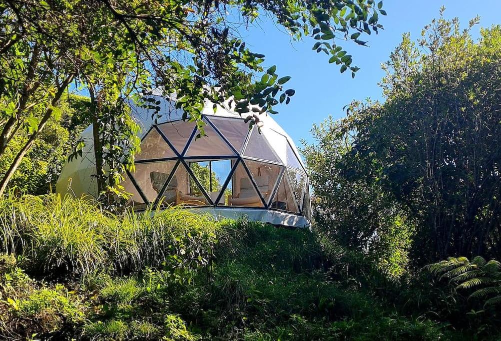 The Geodesic Dome in Pohara Golden Bay - B&B