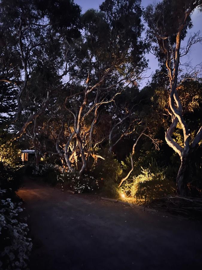 Parrots Rest - Bed and Breakfast Aldinga Beach