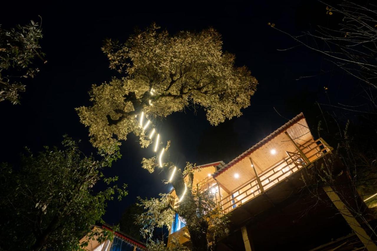 Into the woods Treehouse Jibhi - B&B