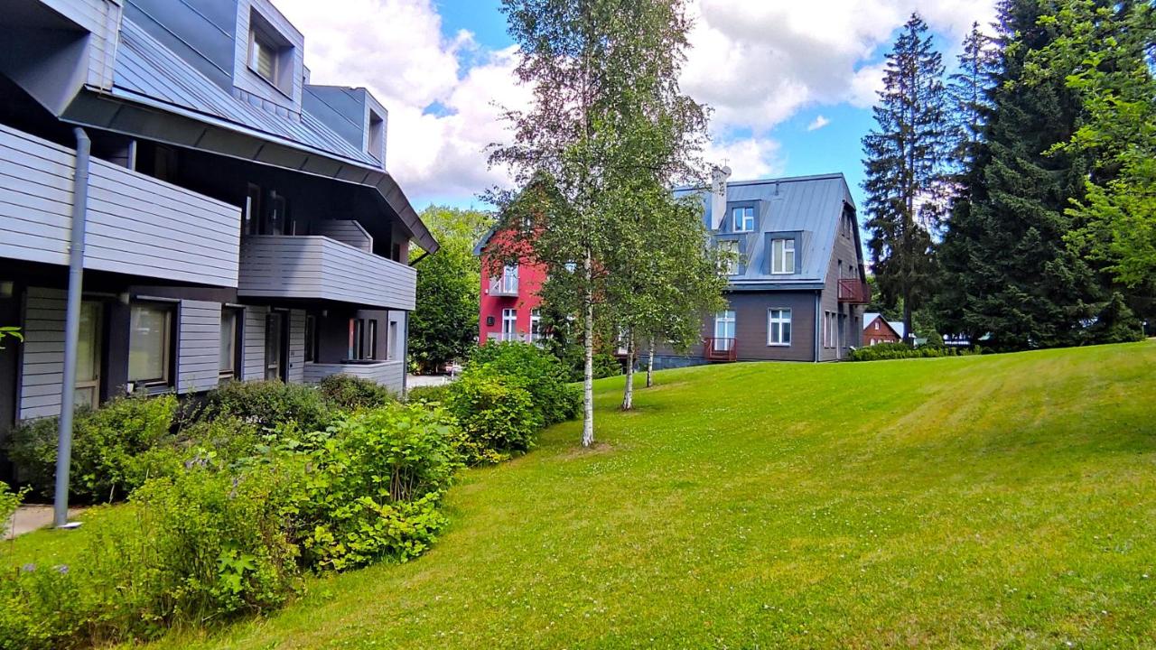 Tiché Anenské Apartmány pro milovníky SPA - MASÁŽE, WELLNESS PROCEDURY, SAUNOVÝ SVĚT, DETOXIKAČNÍ ZÁBALY, KOSMETIKA s ORP oxidačně redukčním potenciálem, SNÍDANĚ na apartmán v ceně pobytu, OSOBNÍ ASISTENT na místě - VIP zařízení pro Relax v Harrachově - B&B Harrachov
