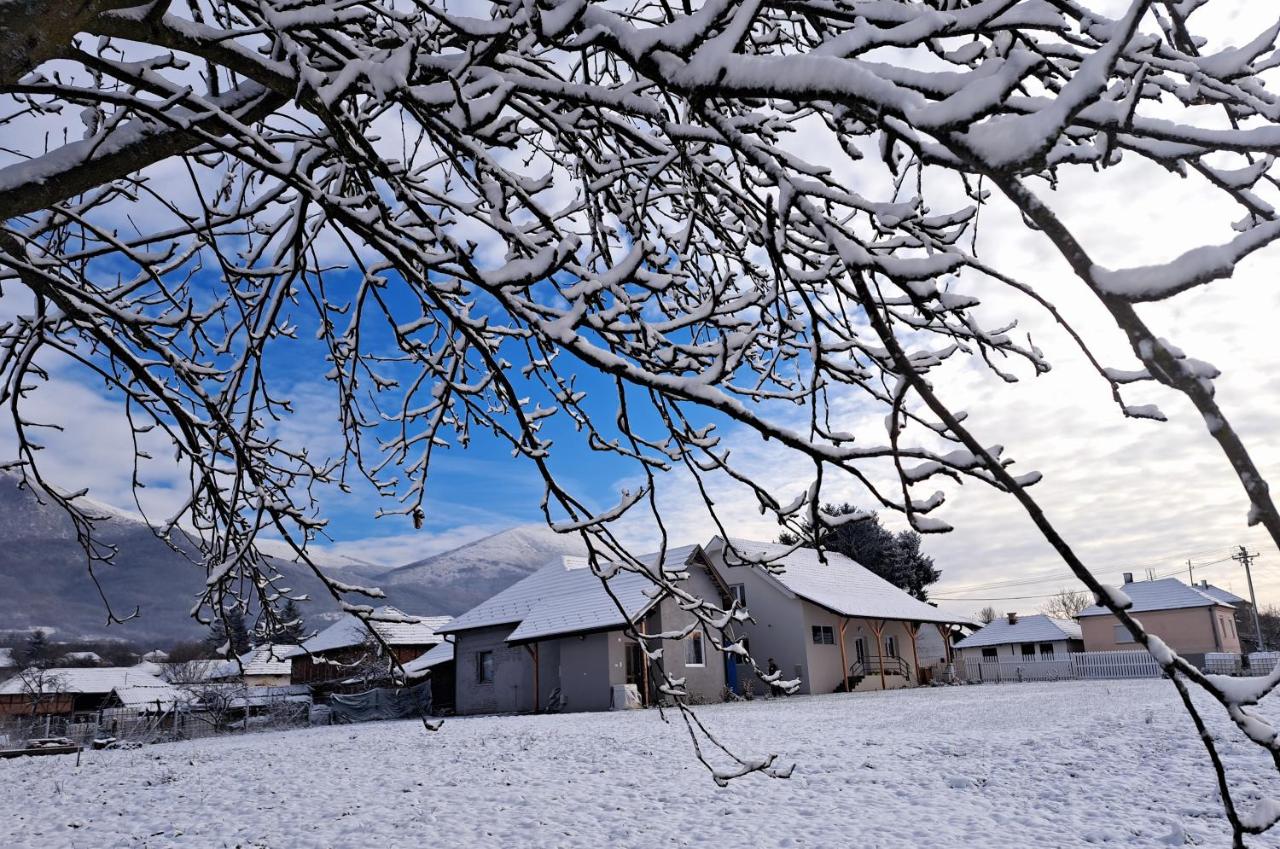 Apartmani Petrović SEMČE Suva Planina - B&B