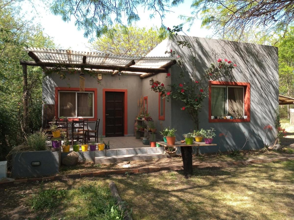 Casa con piscina en entorno muy verde - Chambres d’hôtes