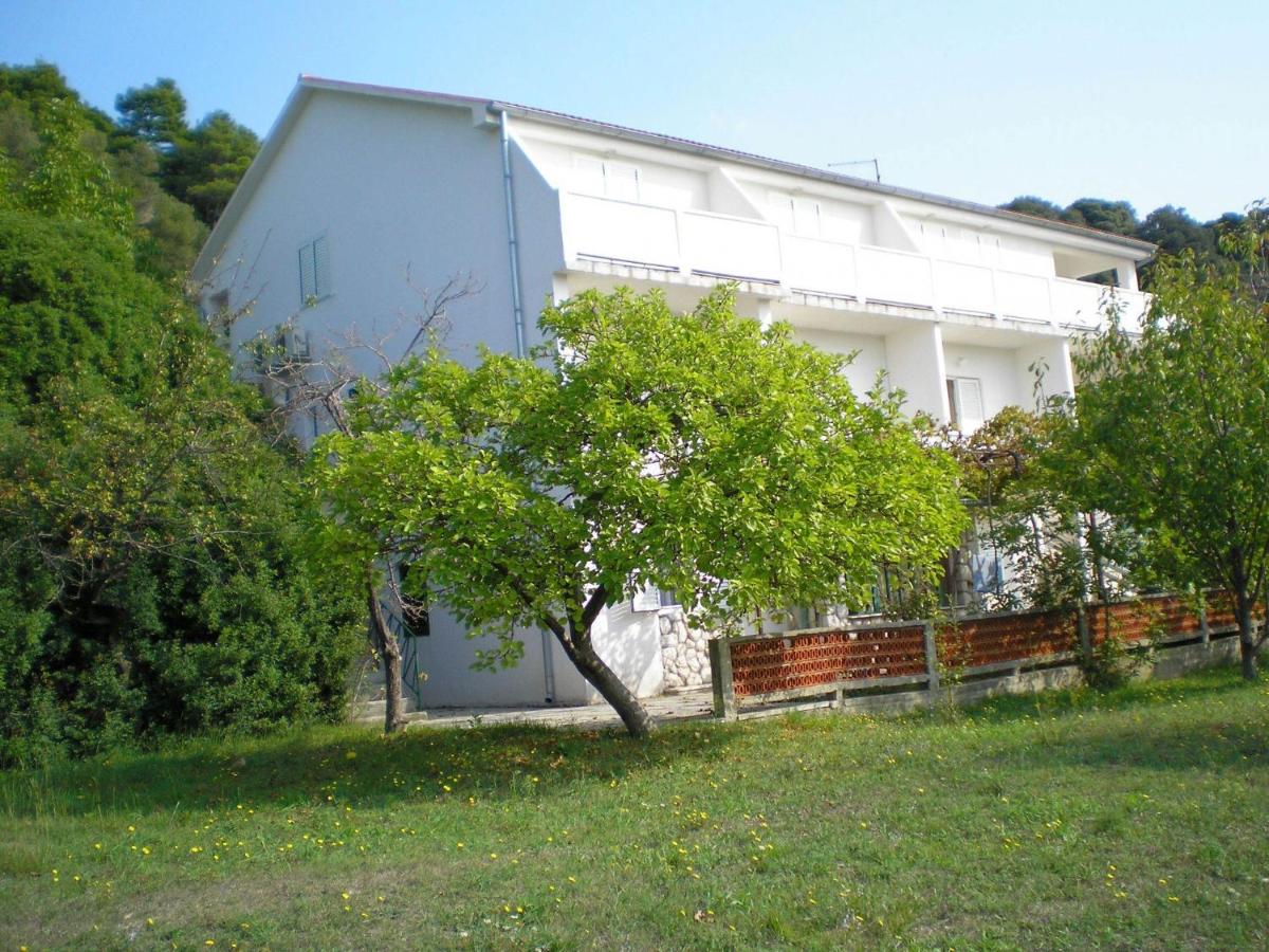 Apartment Ren - B&B