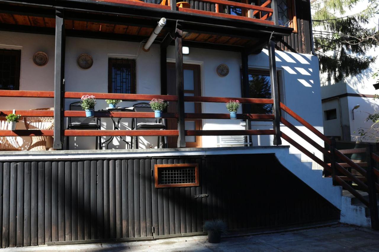 Sporty Mountain Escape Sinaia - B&B