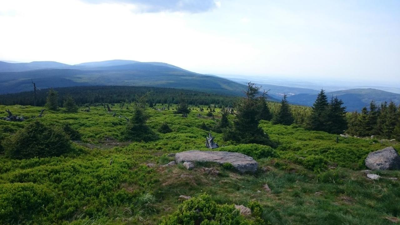 Monia Apartment - B&B Świeradów-Zdrój
