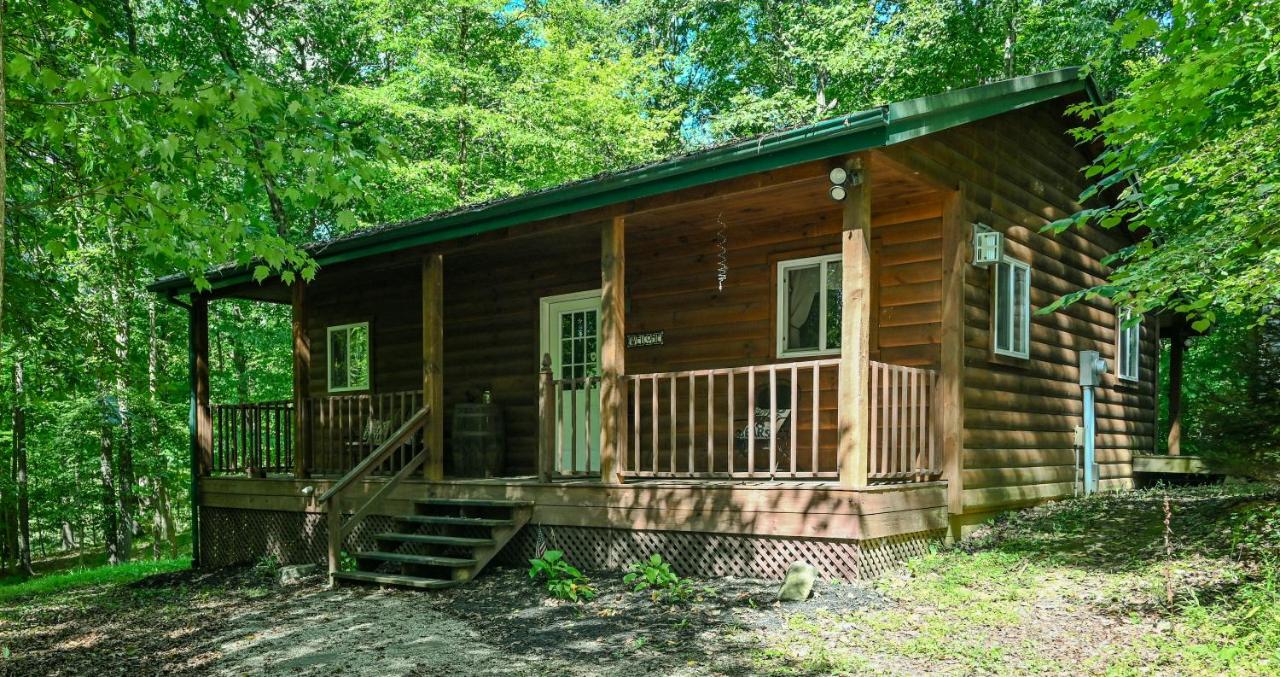 A Beary Cozy Cabin in Hocking Hills - Chambres d’hôtes