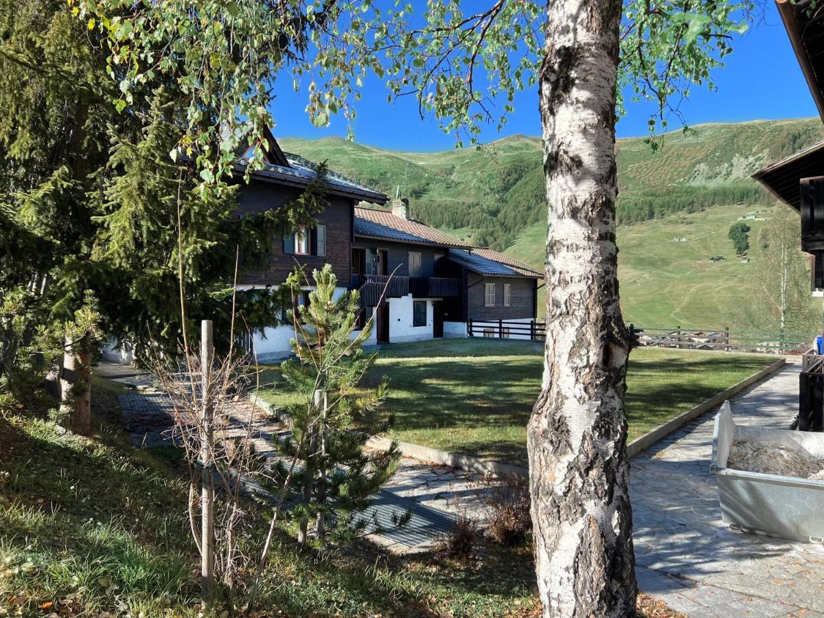 Chalet Rododendro - Chambres d’hôtes
