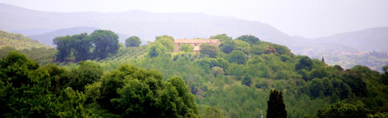 Agriturismo Podere Luchiano - B&B
