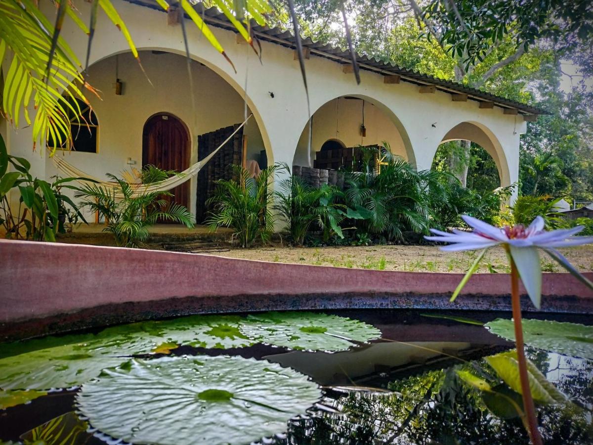 Casa pájaros- Habitación Colibri - B&B Troncones