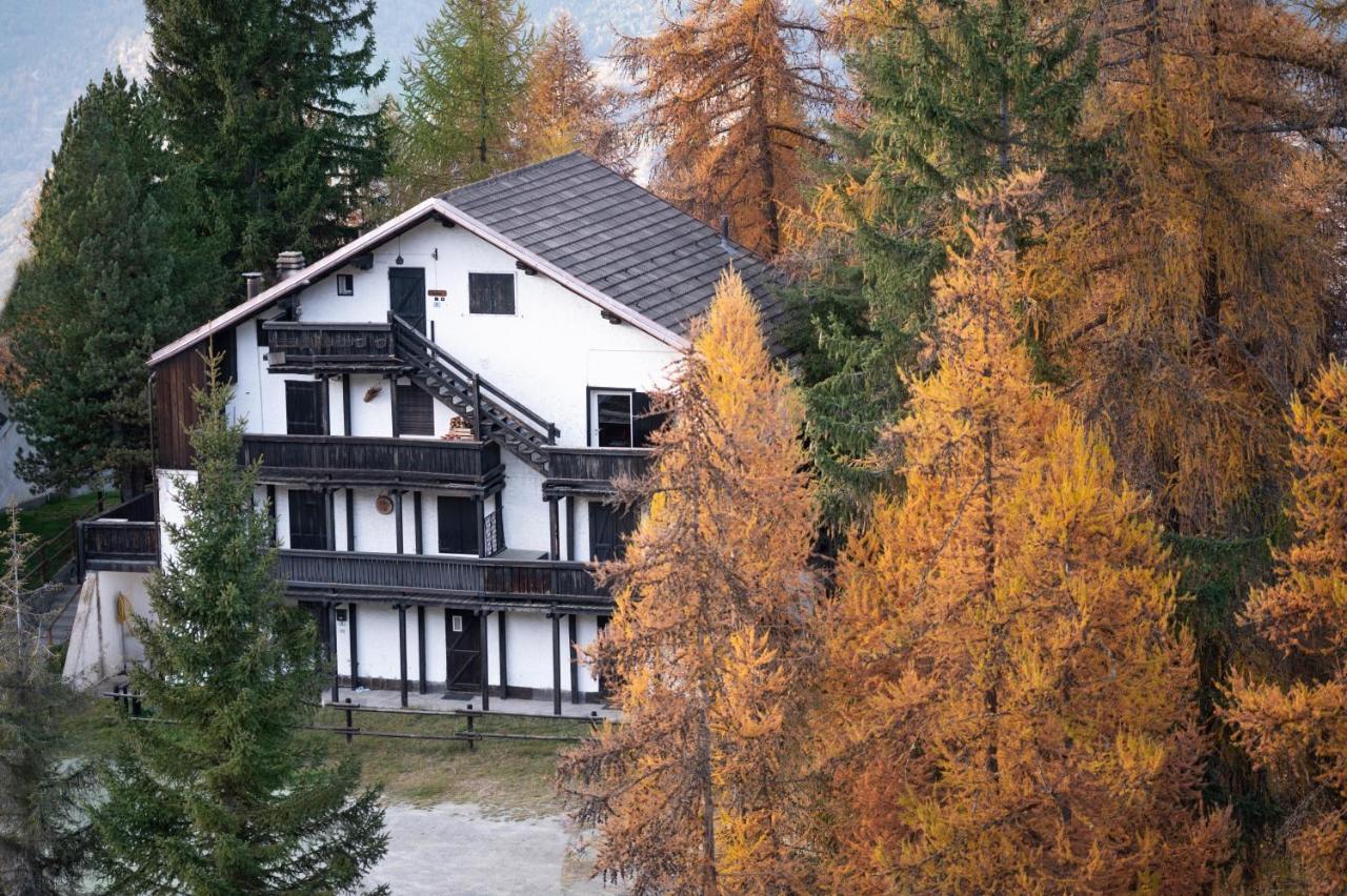 Angolo del Bosco - Chambres d’hôtes