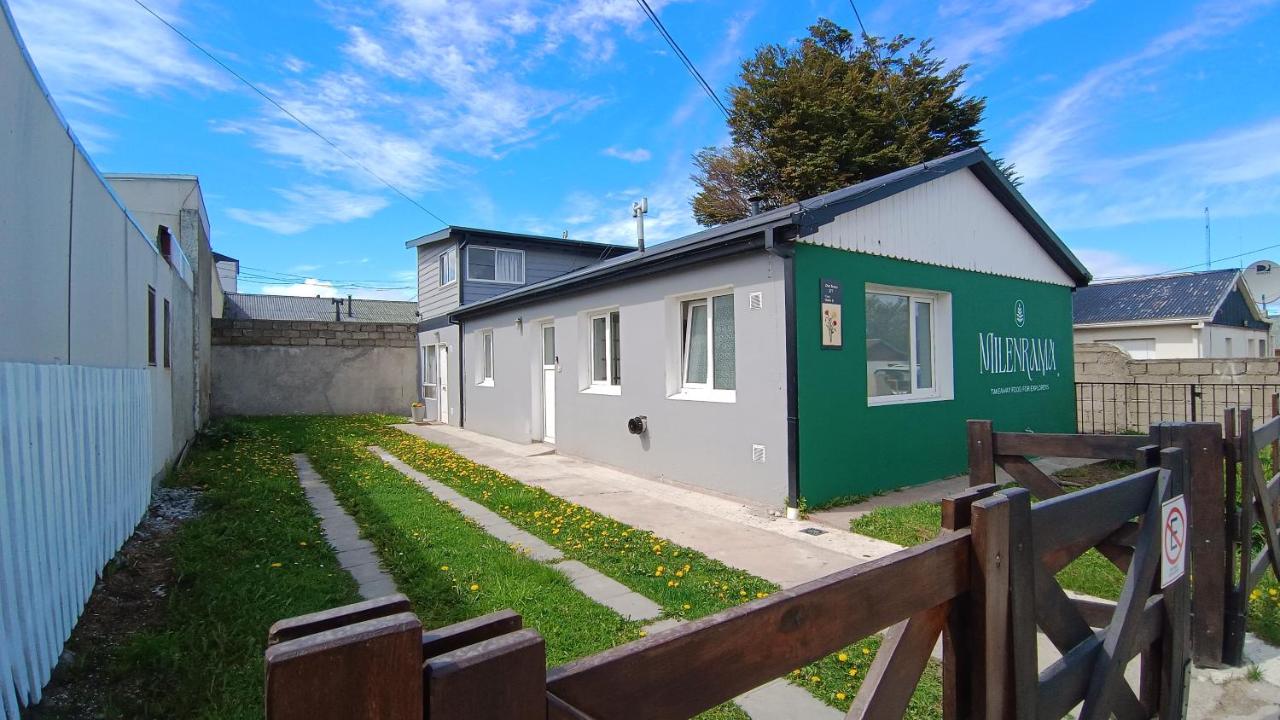 Narcisos y Amapolas en Ushuaia - B&B Ushuaia