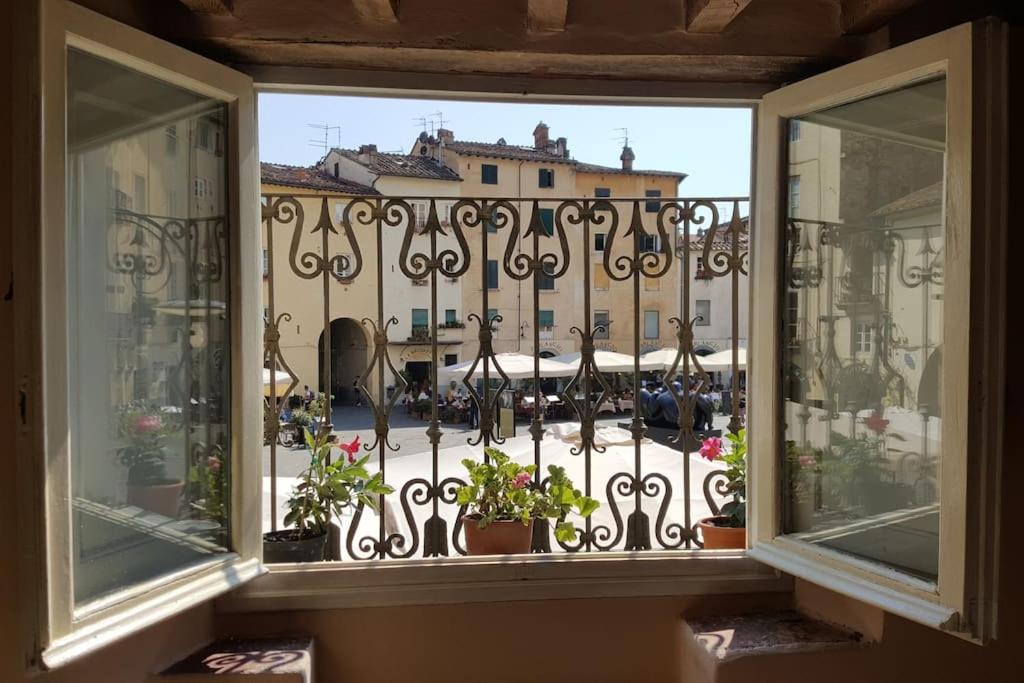 The house in the circle - B&B Lucca