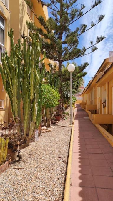 Apartamento con vistas al mar en Cabo de Palos - Chambres d’hôtes Cabo de Palos