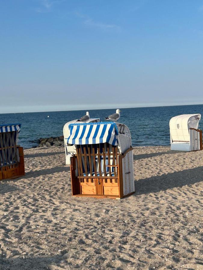 Toplage direkt an der Steilküste - FeWo 4 "Ostseenest" Hohwacht - B&B Hohwacht