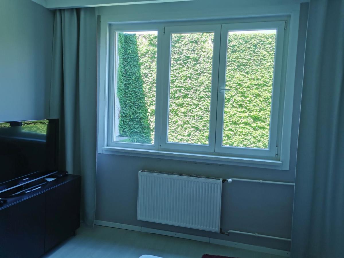 Budget One-Bedroom Apartment with Garden view