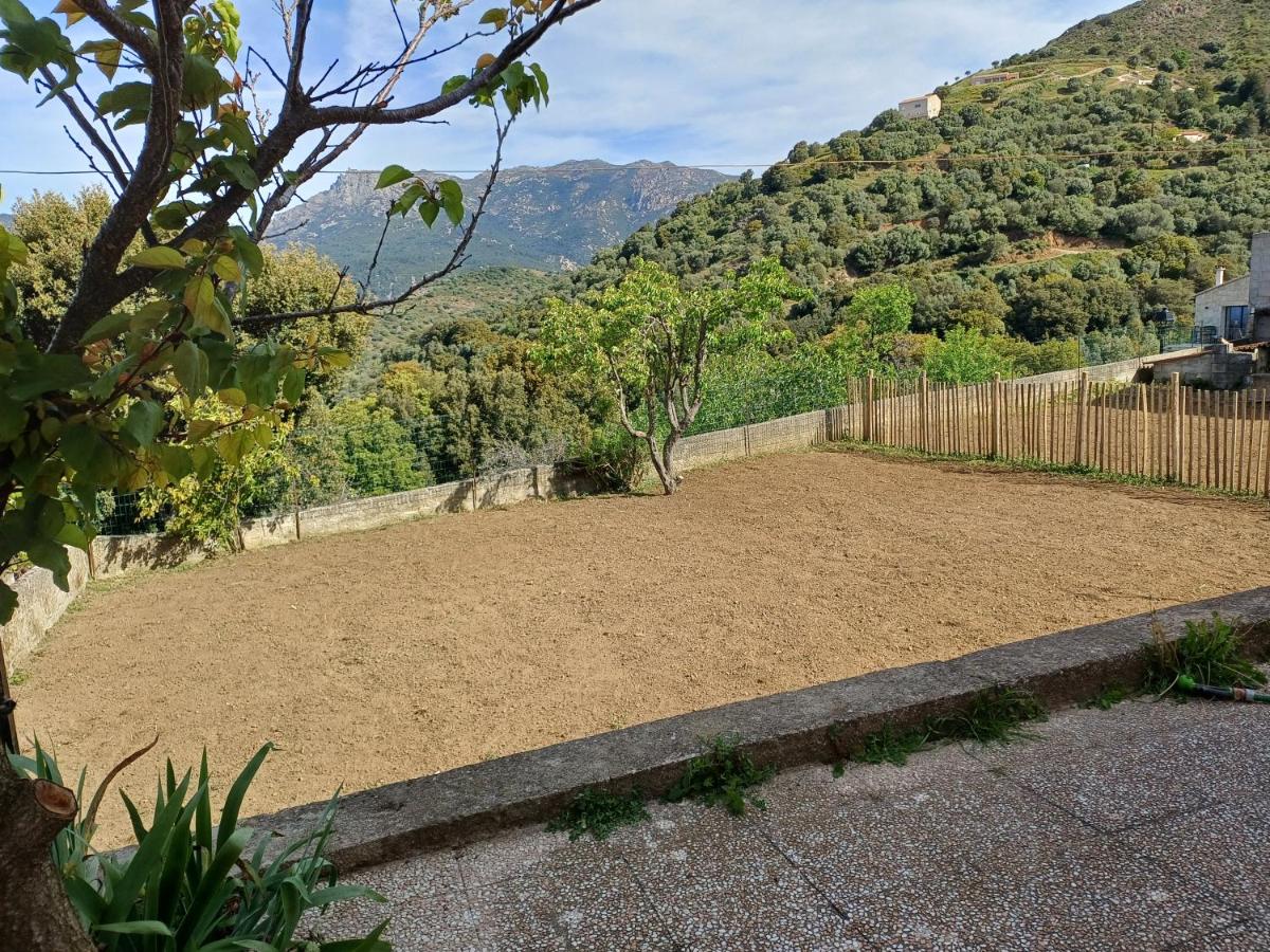 Maison à 15 minutes de Propriano - B&B