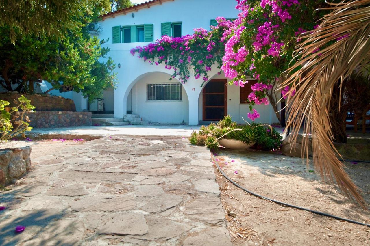 Narcissus - B&B