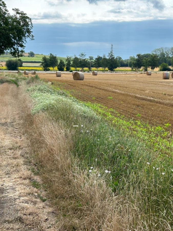 Casa con 1 dormitorio