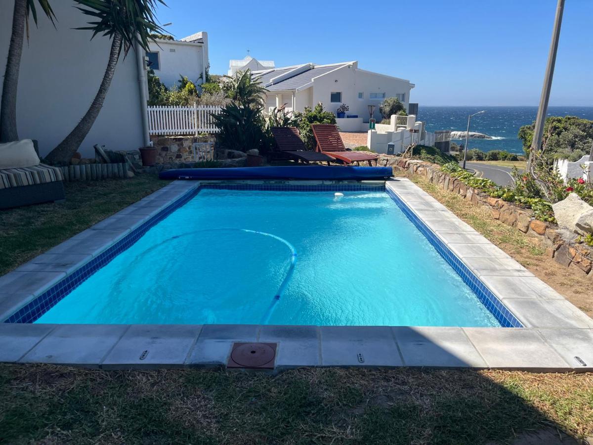 Simons Town penquins - B&B Città del Capo