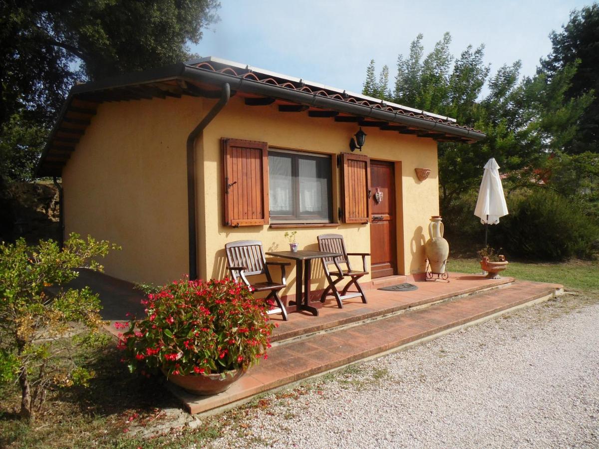 Podere Caldaruccio La Pineta - B&B Bosco