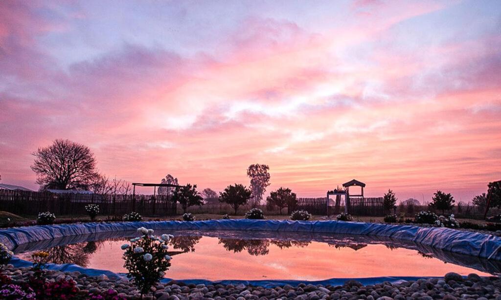 Mud Haven Farm - B&B Mātanhel