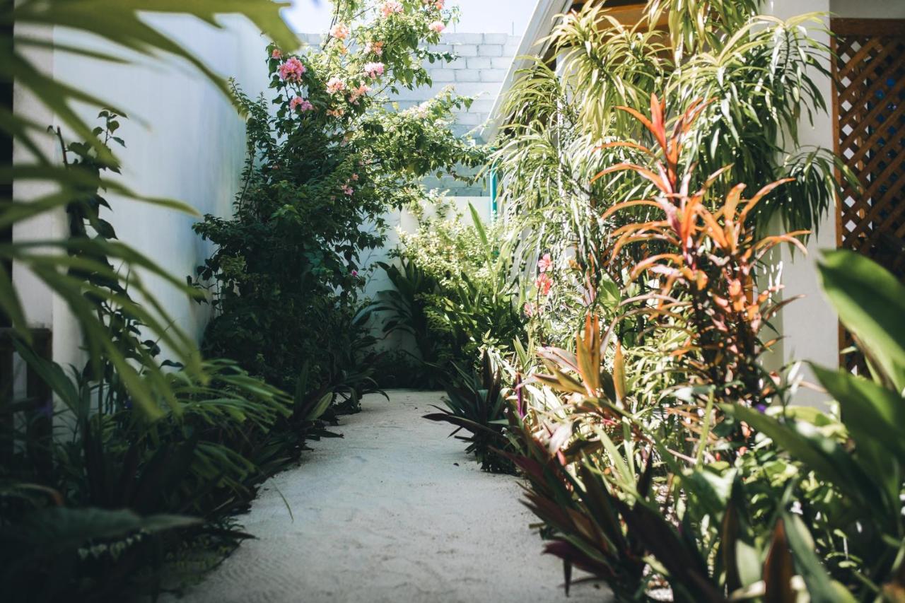 Frangipani Fulhadhoo - B&B