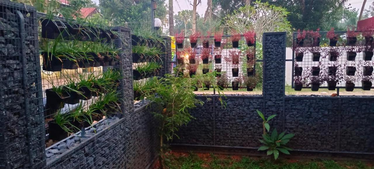A Home at Kattoor - B&B Alleppey