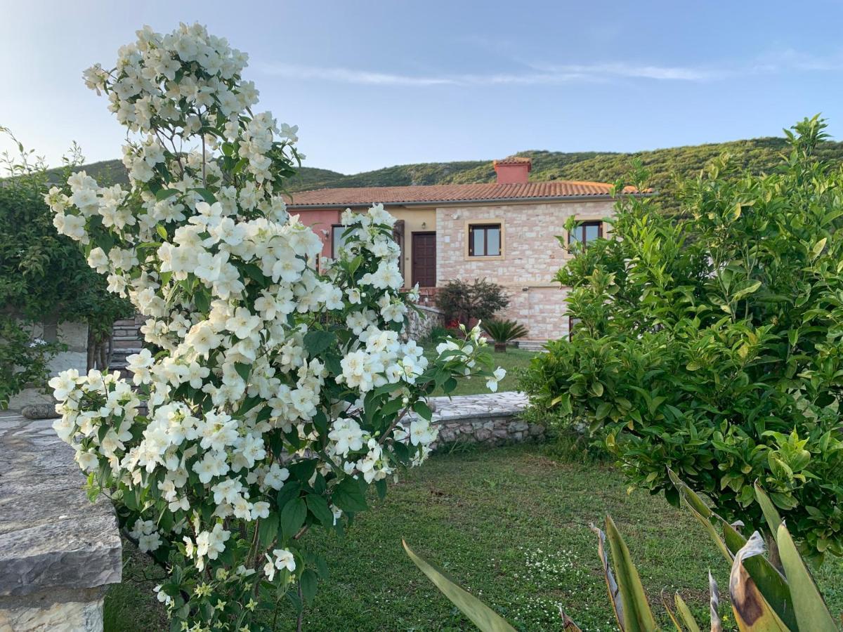 Iris Bioclimatic House - B&B
