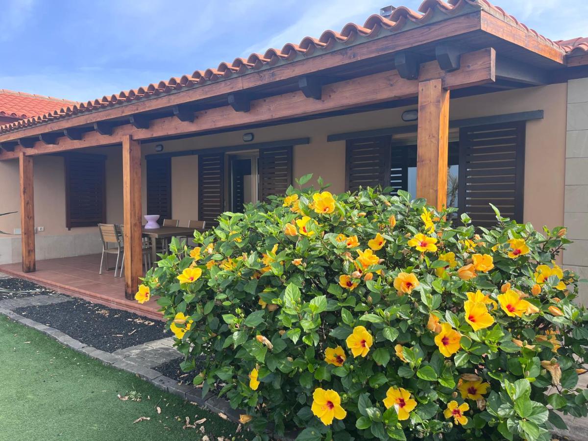 Casa Punta del Viento Tenerife - B&B Poris de Abona