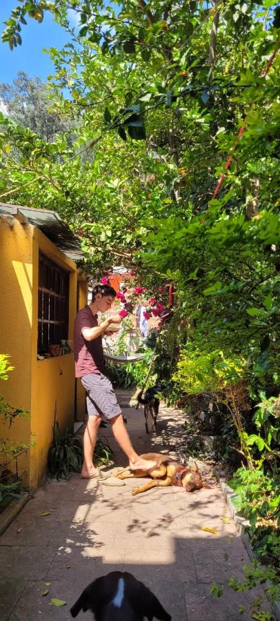 Volcano View Modest Casita with Dogs - B&B Antigua Guatemala