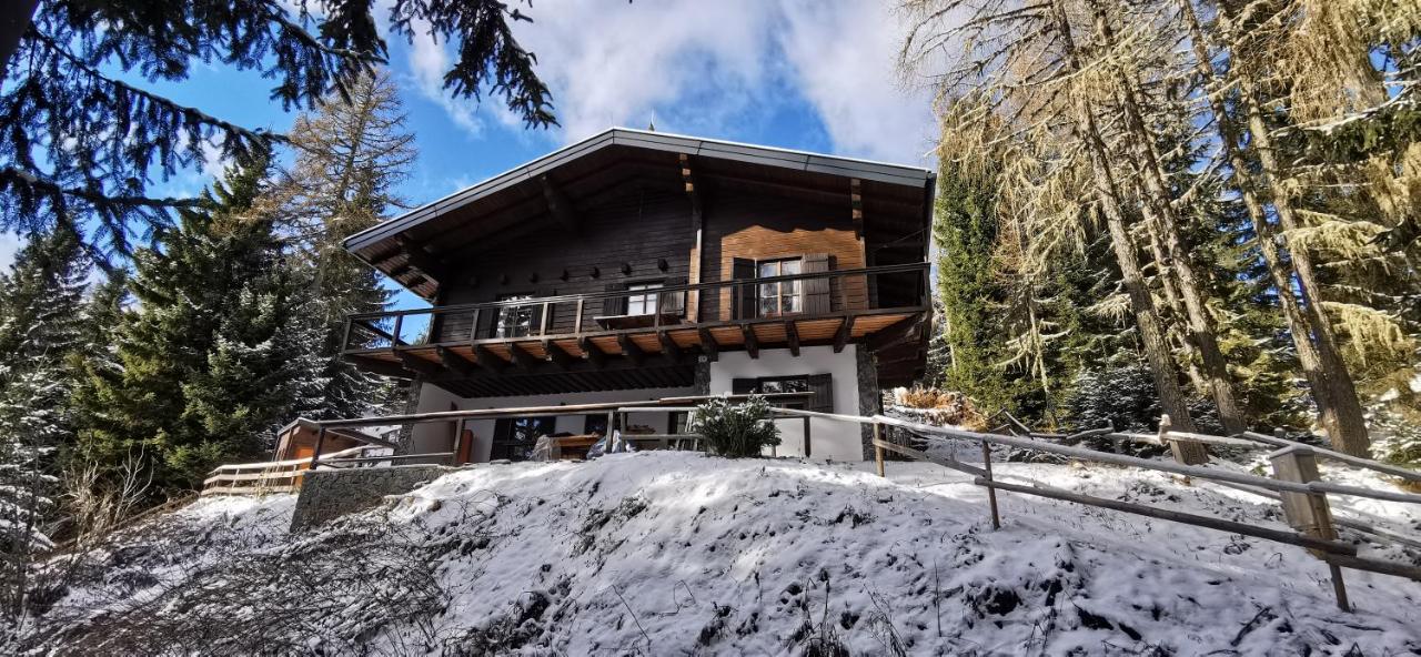 Chalet Alpl - Ferienwohnung Waldblick mit Sauna, Kamin & Whirlwanne - Bed and Breakfast