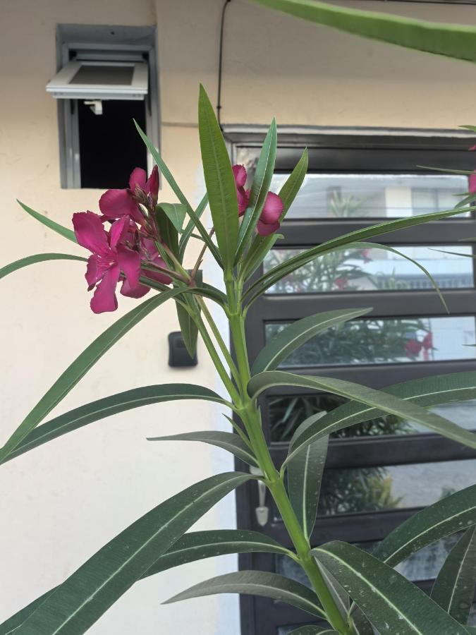 Habitación principal en Mazatlán - B&B