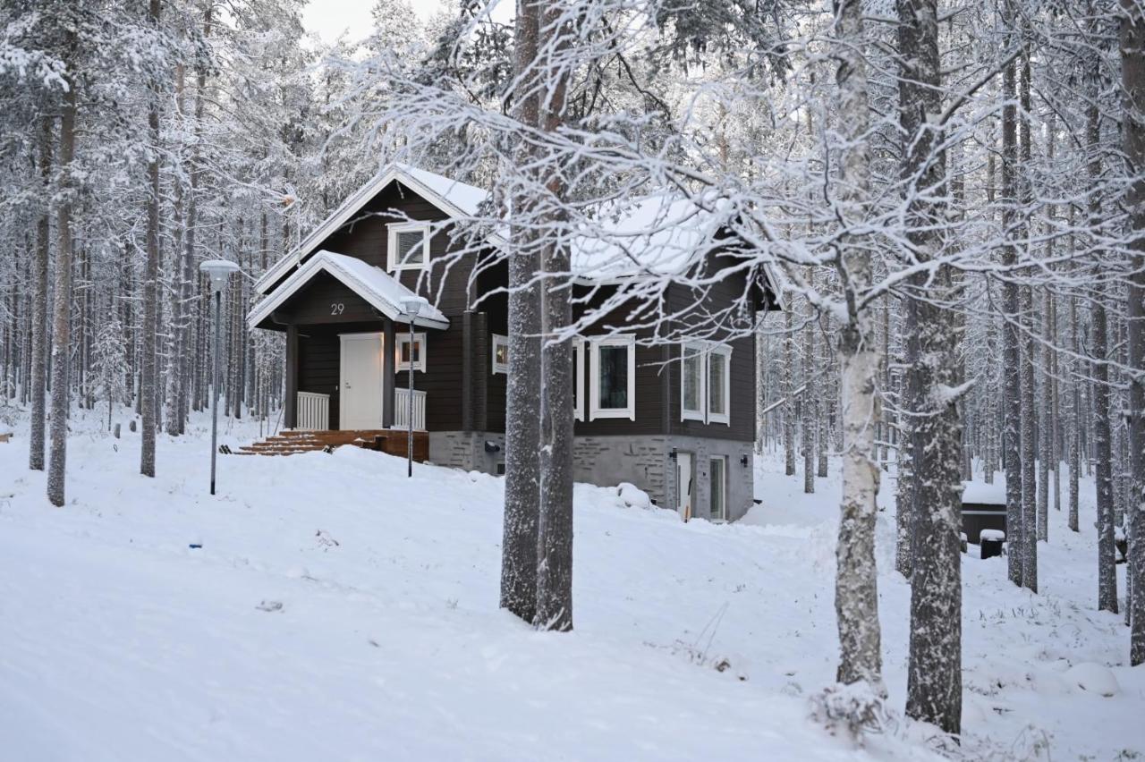 Holiday Cabin Northern Highlight - Bed and Breakfast