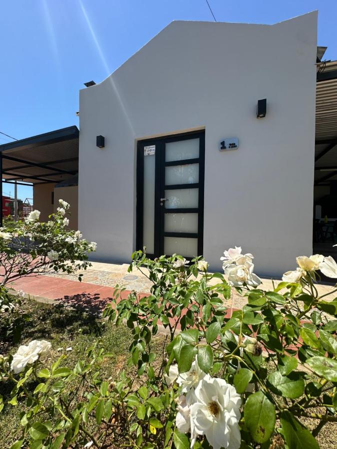 HANAKOTOBA El lenguaje de las Flores - Bed and Breakfast Chajarí