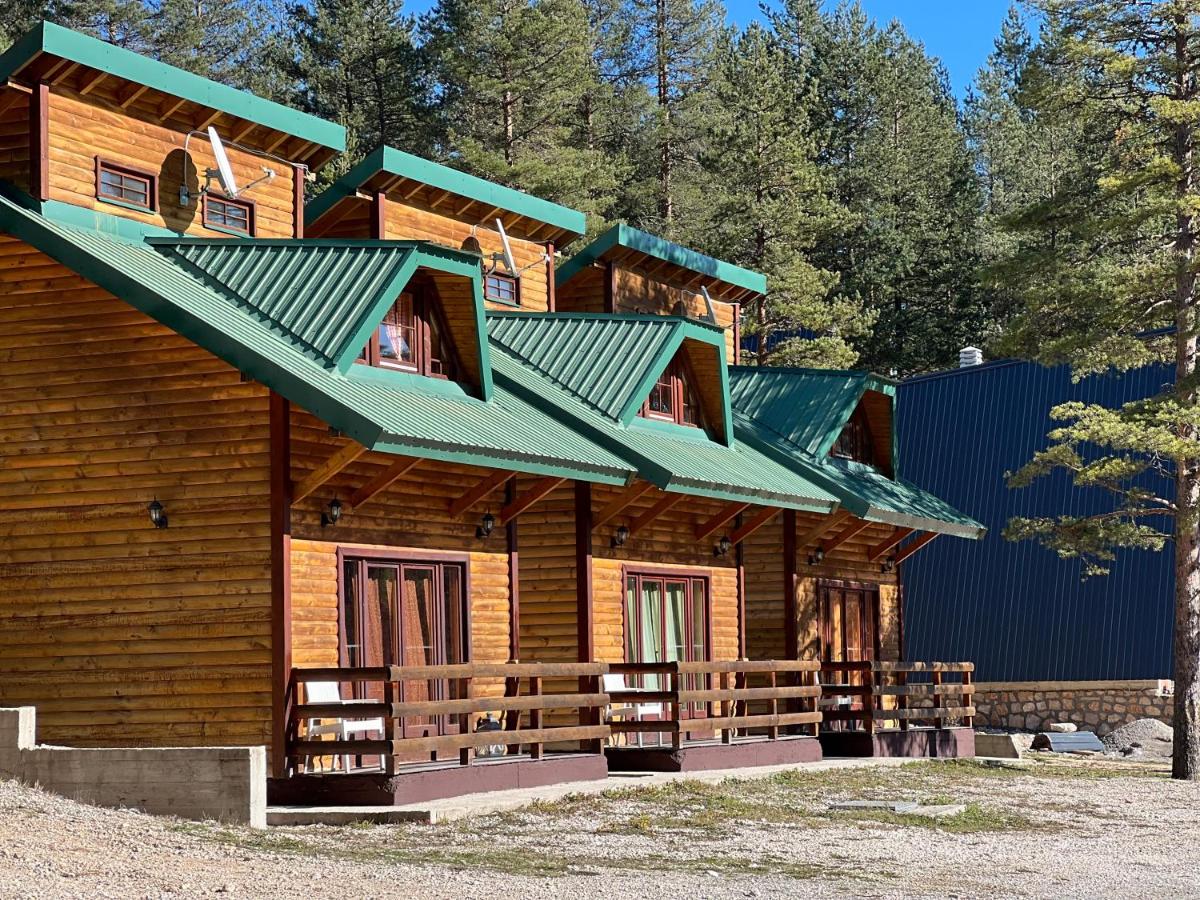 Zabljak Escape - B&B