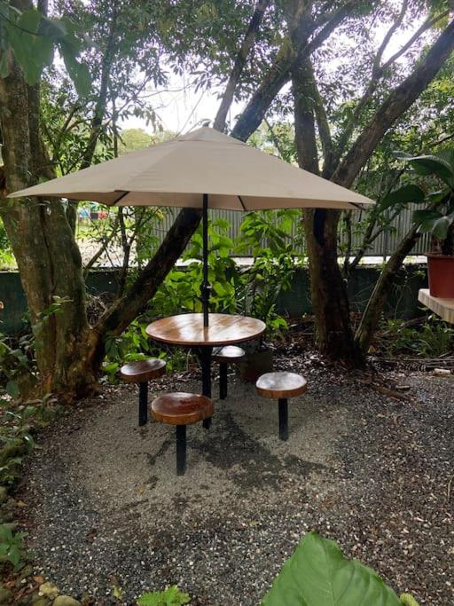 Corcovado jungle house - B&B Puerto Jiménez