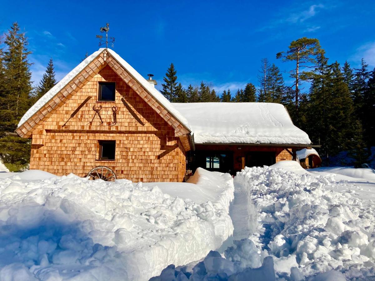 Chalet Wildalpen (in Ruhelage & mit Wellness) - B&B Wildalpen