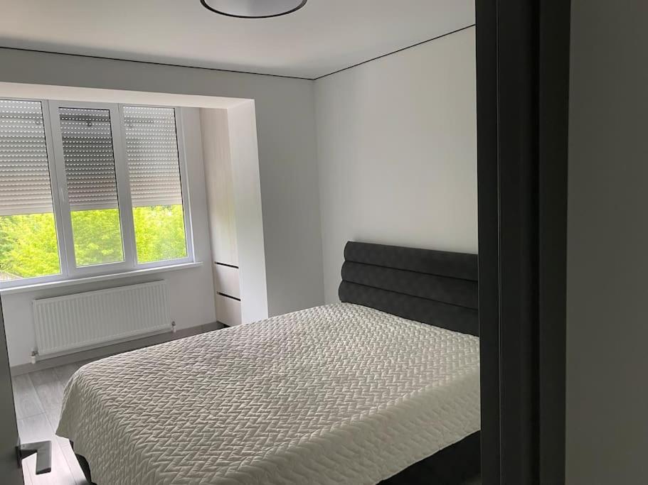 Chirie apartament - Bed and Breakfast