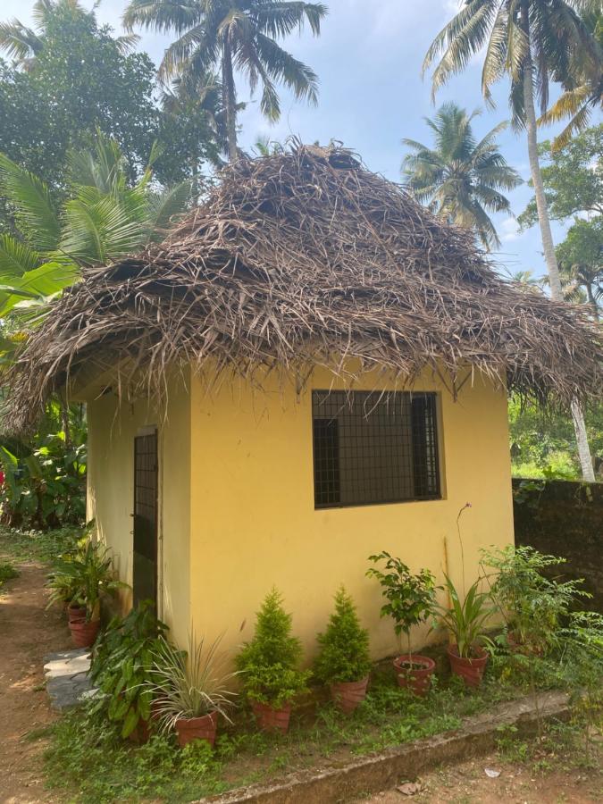 Bungalow mit Ventilator 