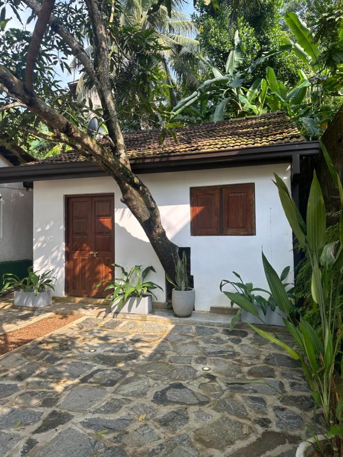 THE LODGE by Eco Love - Bed and Breakfast Galle